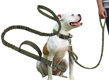 Leash câine tactic puternic cu mâner frânghie de nylon verde