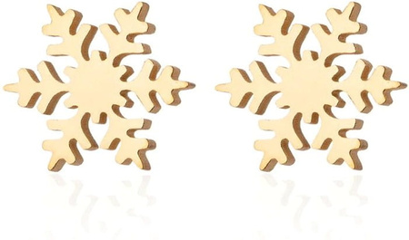 Cercei mici din aur, oțel chirurgical, fulg de nea