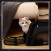 BAD&BAGS transport negru pentru geanta auto pentru caini mici