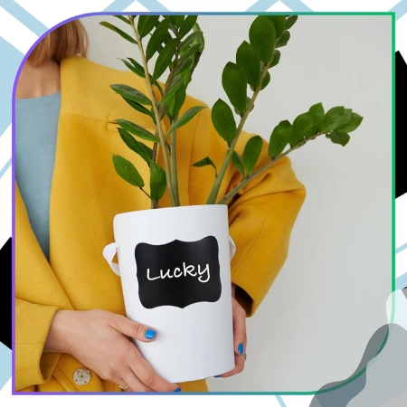 Set de recipiente pentru alimente 4 buc + perie de păr + autocolante