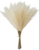 Iarbă artificială de pampas, 20 buc, stuf decorativ bej, pene