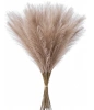 Iarbă artificială de pampas, 20 buc, stuf decorativ maro, pene