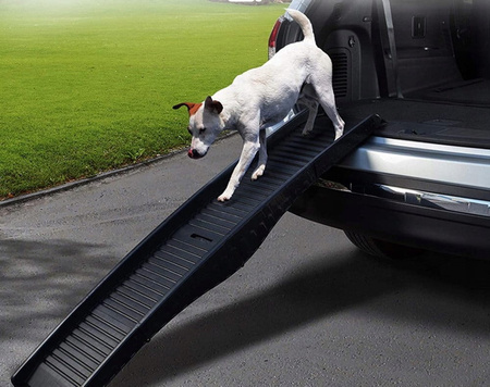 Rampă pentru mașină pentru câini, scară, platformă, scări pentru mașină