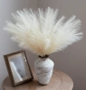 Iarbă artificială de pampas, 20 buc, stuf decorativ bej, pene