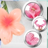 Set de 8 catarame cu clemă pentru falci flori hawaiane