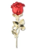 Brosa de trandafiri, ac romantic, ace de trandafir elegant