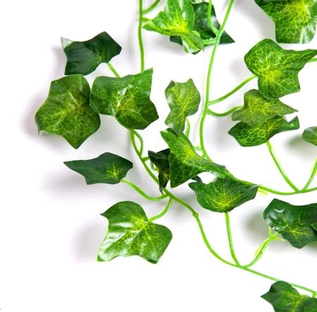 6 bucăți frunze agățate de iedera cataratoare pentru ghirlanda