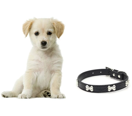 Guler de câine din piele drăguț cu glezne negru reglabil