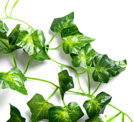 6 bucăți frunze agățate de iedera cataratoare pentru ghirlanda